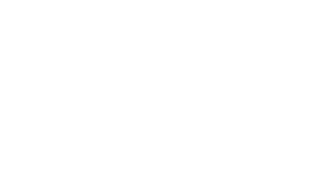 Dan D'Agostino transparent text
